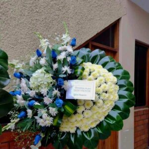 Coronas
